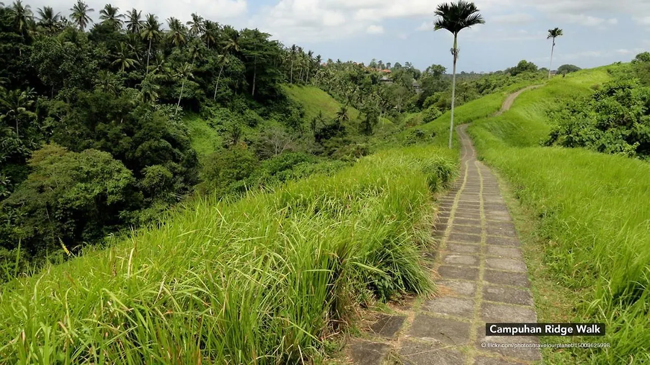 Zen Rooms Ubud Dewi Sita